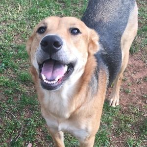 Meet your Posher, Jessee